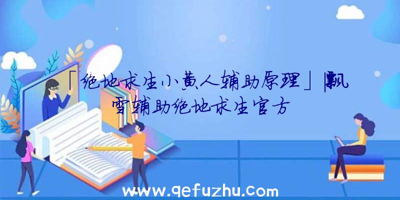 「绝地求生小黄人辅助原理」|飘雪辅助绝地求生官方